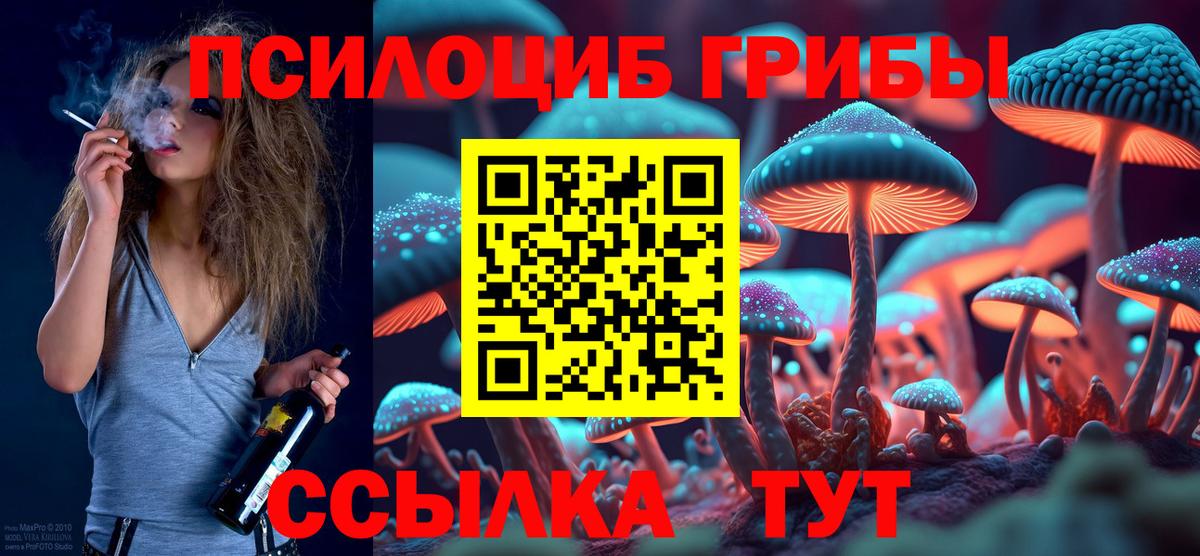 Галлюциногенные грибы Psilocybine cubensis  Псилоцибиновые грибы MAGIC MUSHROOMS  Междуреченск  Вход с VPN 